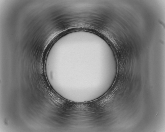 X0000096220927200802081522