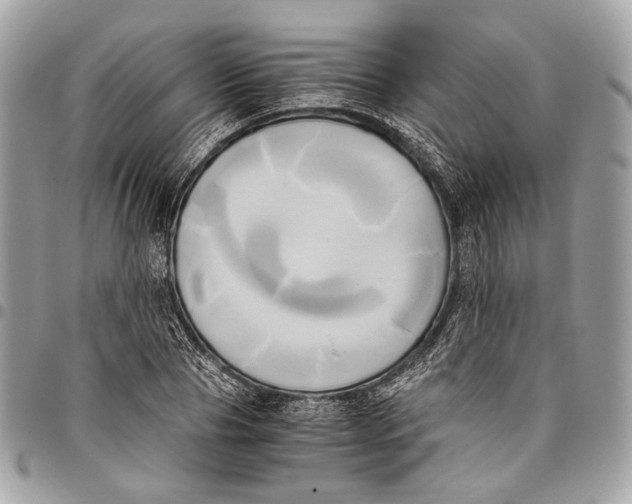 X0000096220929200802081522