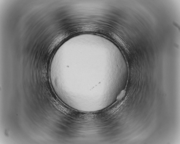 X0000096220930200802081522