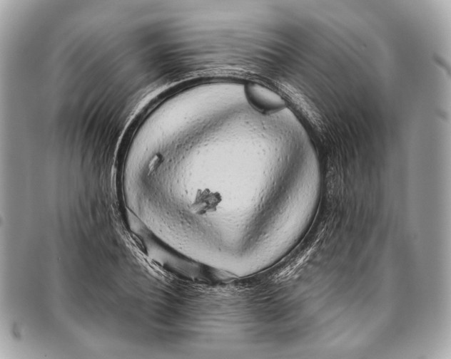 X0000096220932200802081522