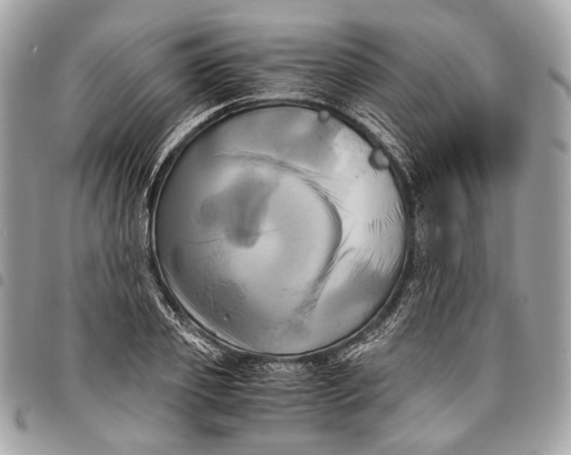 X0000096220933200802081522