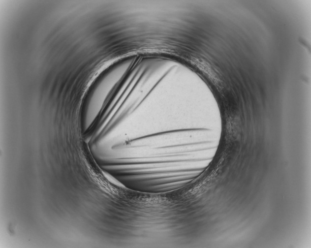 X0000096220934200802081522