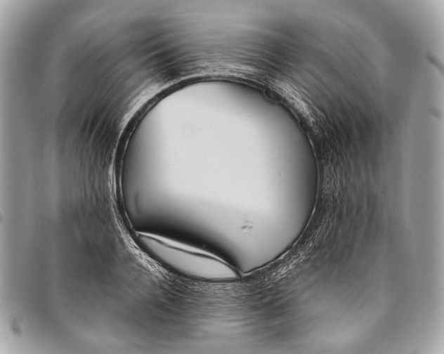 X0000096220936200802081522