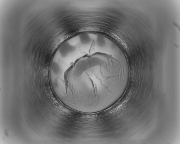 X0000096220937200802081522