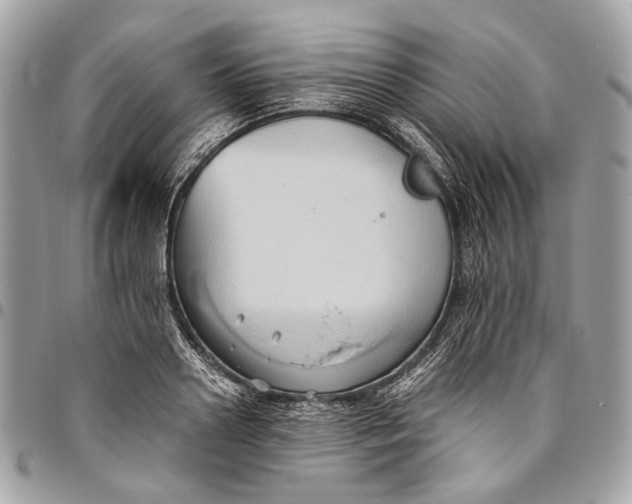 X0000096220938200802081522