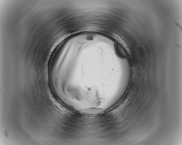 X0000096220939200802081522