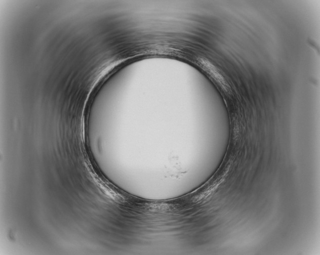 X0000096220940200802081522