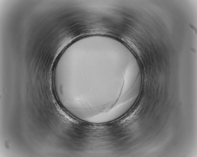 X0000096220941200802081522