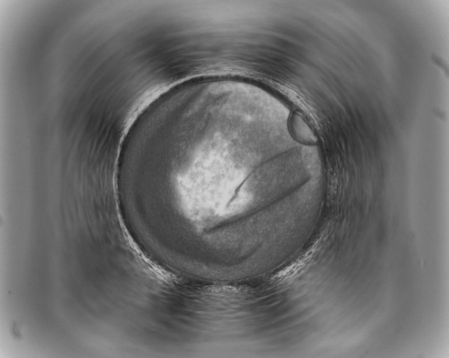 X0000096220943200802081522