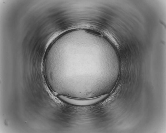 X0000096220944200802081522