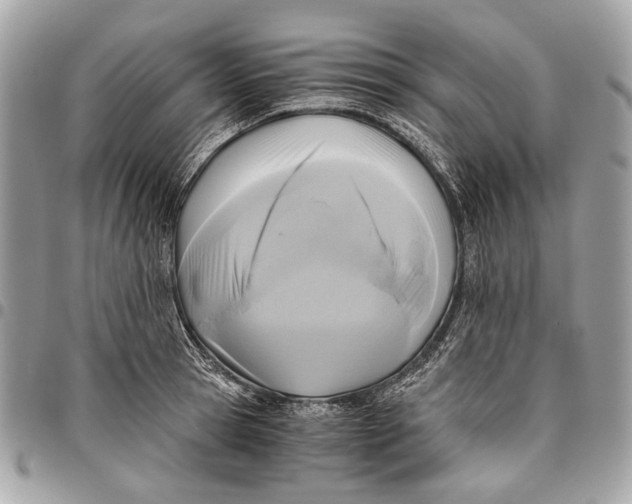 X0000096220945200802081522