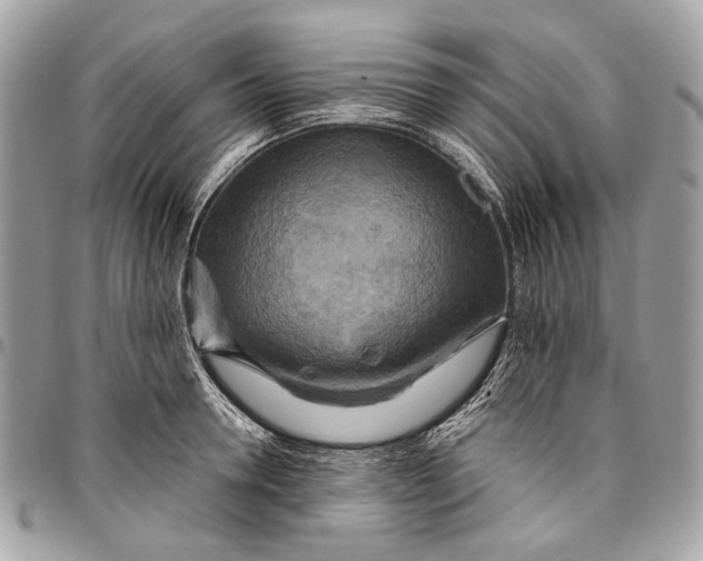 X0000096220946200802081522