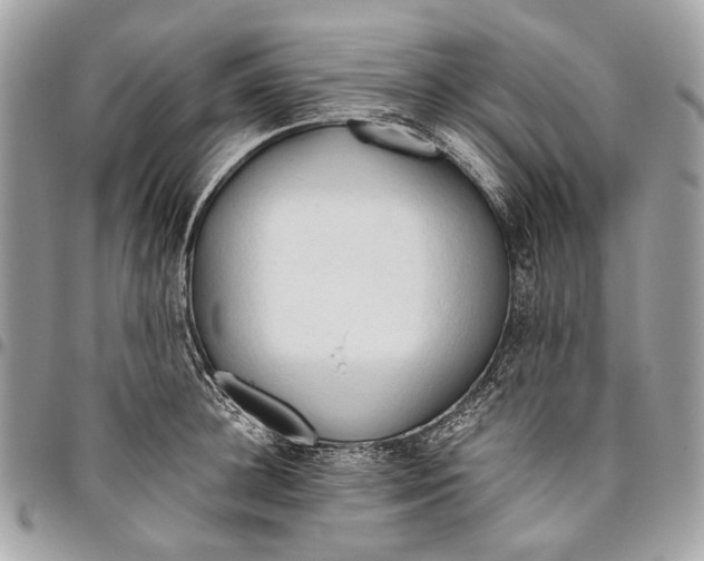 X0000096220948200802081522