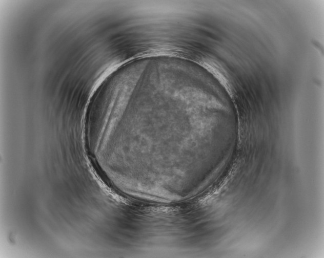 X0000096220949200802081522