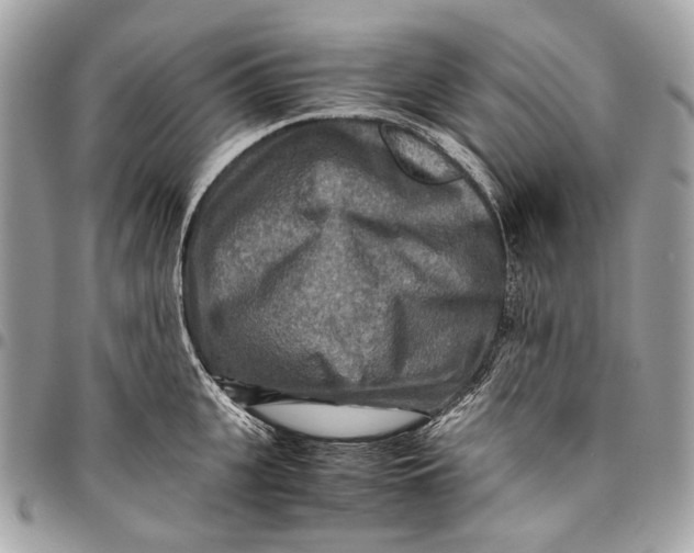 X0000096220951200802081522