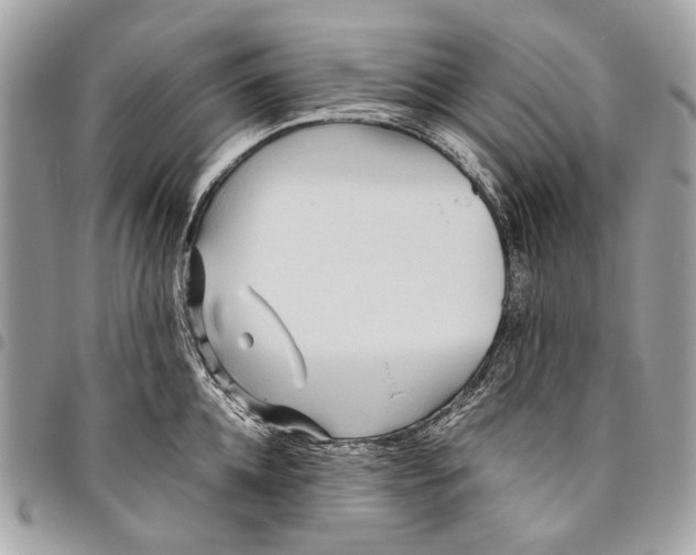 X0000096220952200802081522