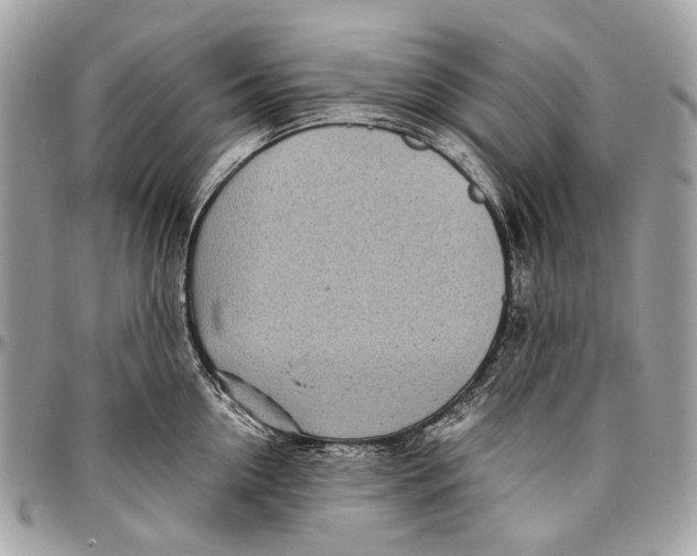 X0000096220954200802081522