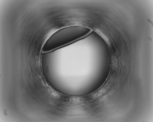 X0000096220956200802081522