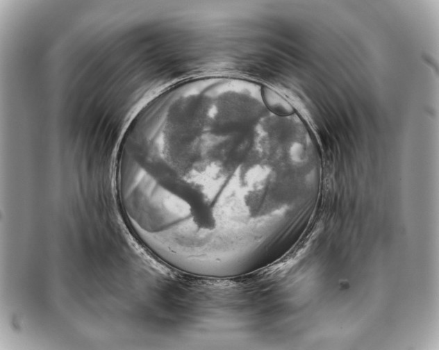 X0000096220957200802081522