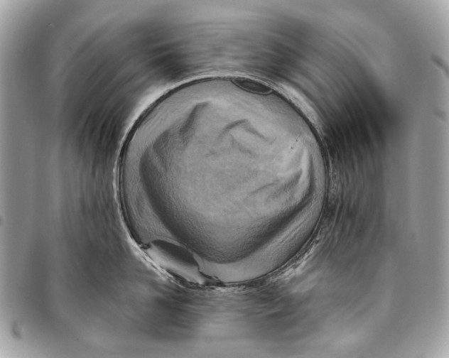 X0000096220958200802081522