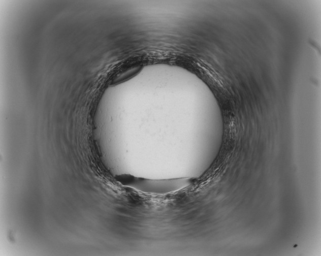 X0000096220961200802081522