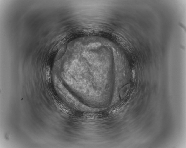 X0000096220963200802081522