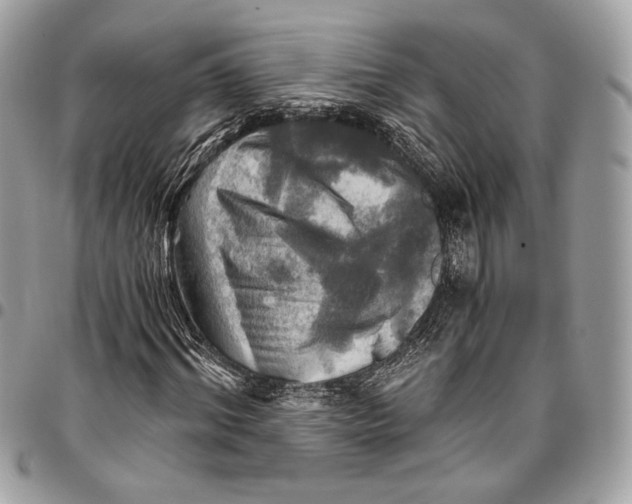 X0000096220964200802081522