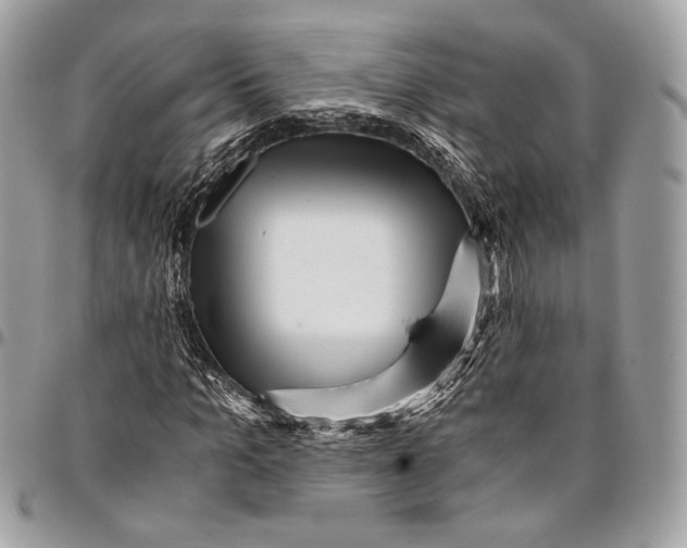 X0000096220965200802081522