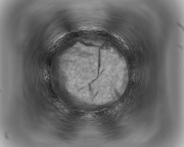 X0000096220966200802081522