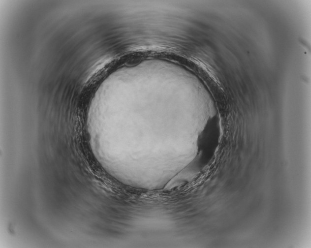 X0000096220967200802081522