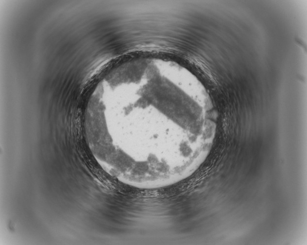 X0000096220968200802081522