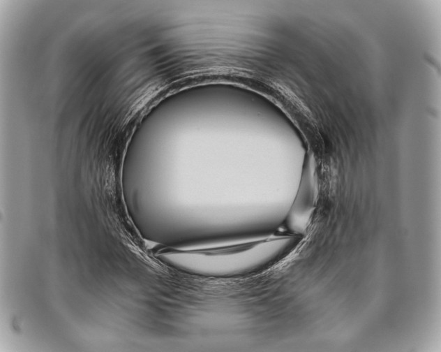 X0000096220969200802081522