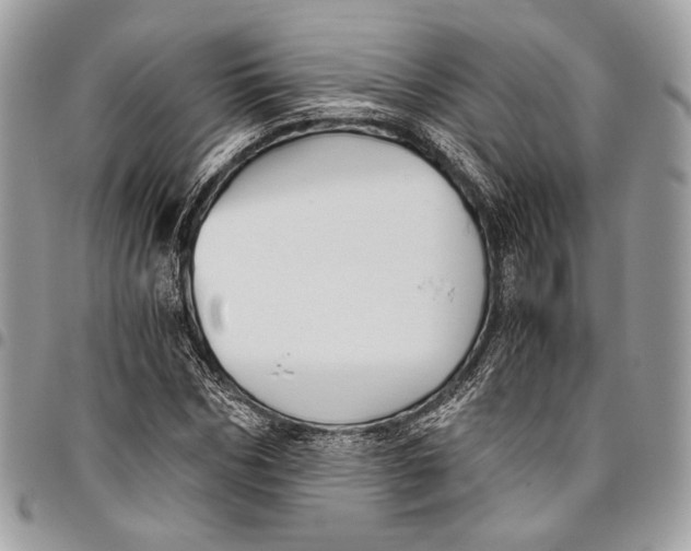 X0000096220970200802081522