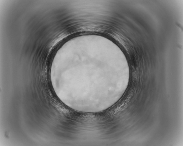 X0000096220971200802081522