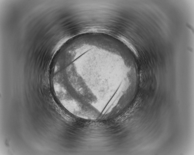 X0000096220972200802081522