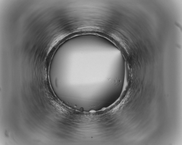 X0000096220973200802081522