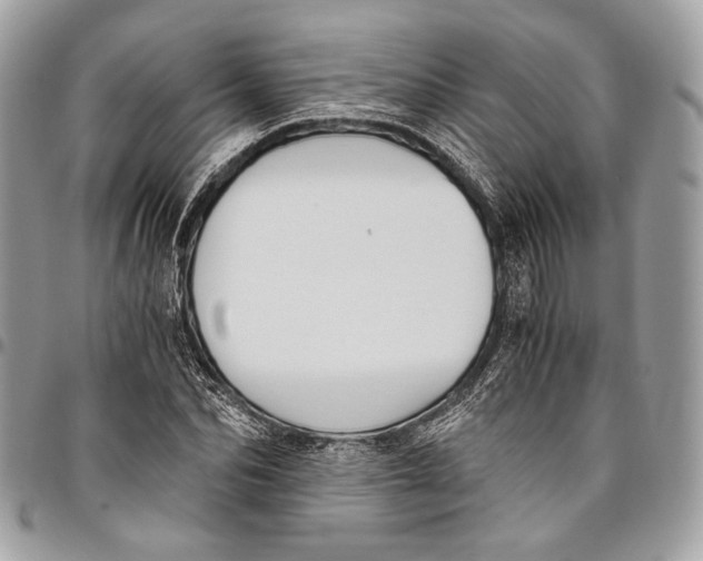 X0000096220974200802081522