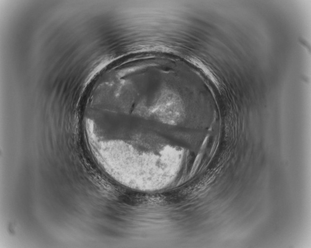 X0000096220975200802081522