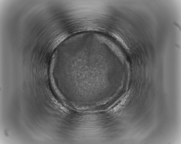 X0000096220977200802081522