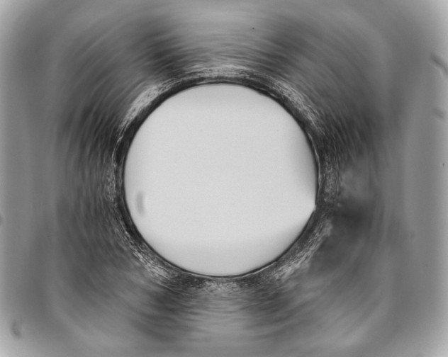 X0000096220978200802081522