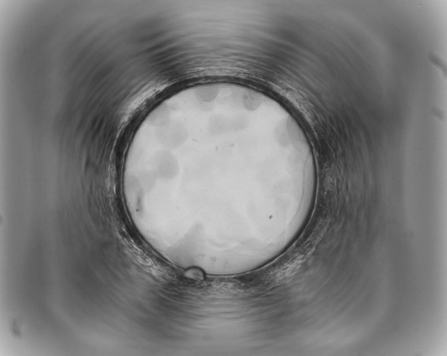 X0000096220979200802081522