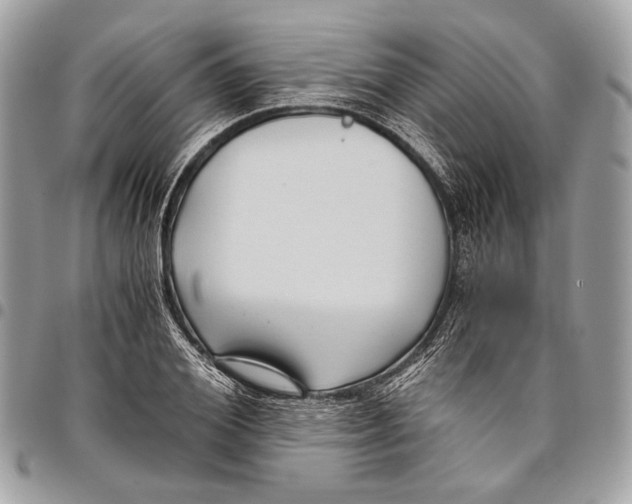 X0000096220980200802081521