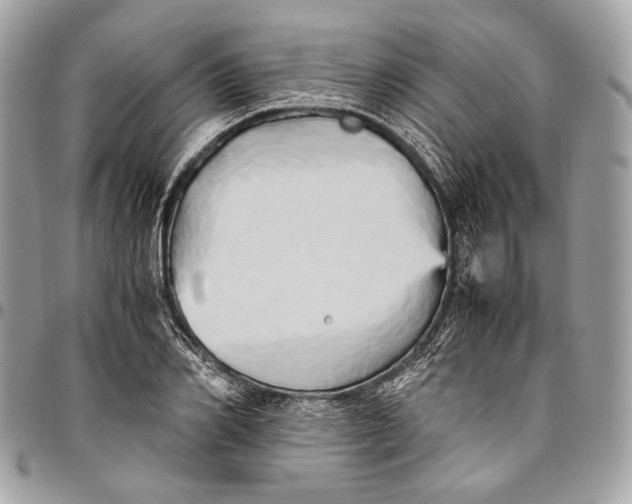 X0000096220982200802081521