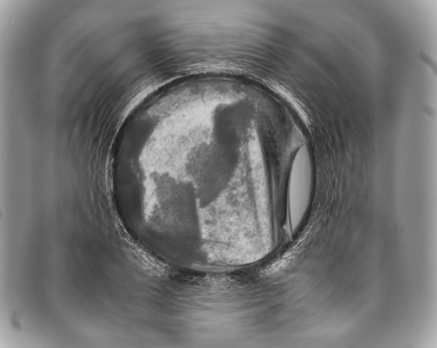 X0000096220983200802081521