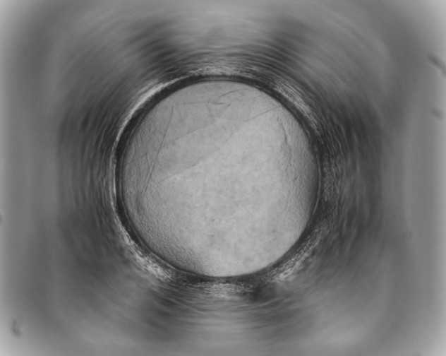 X0000096220984200802081521