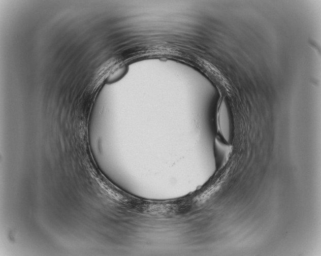 X0000096220985200802081521