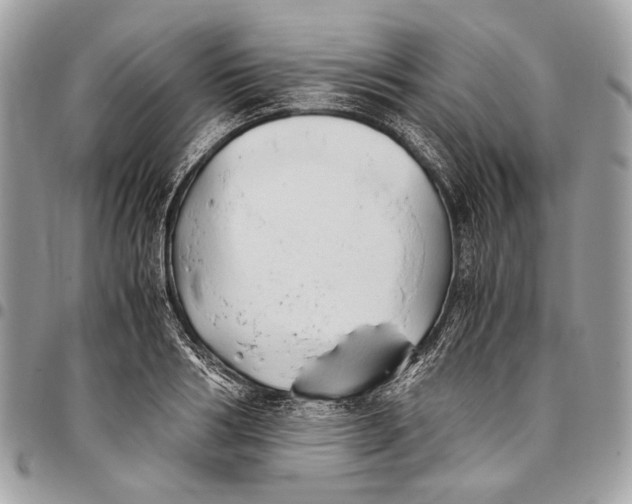 X0000096220986200802081521