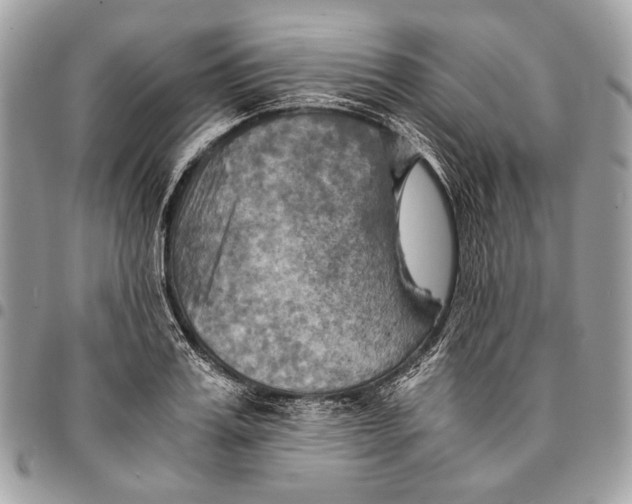 X0000096220987200802081521