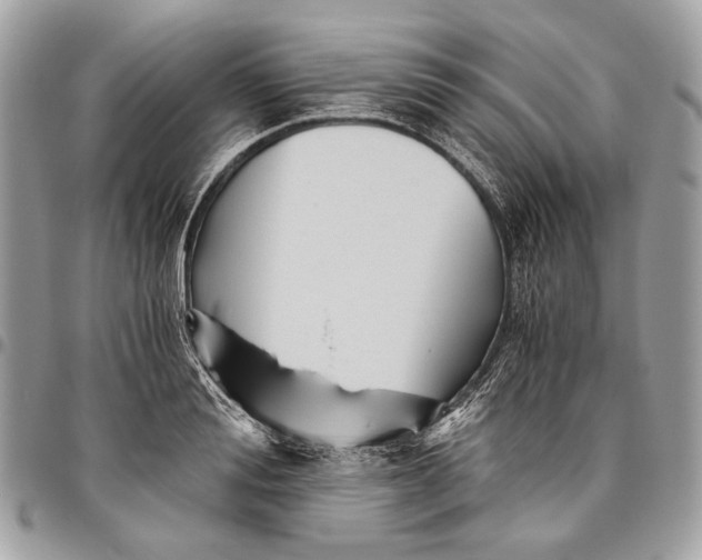 X0000096220988200802081521