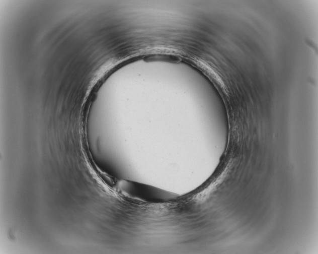 X0000096220989200802081521